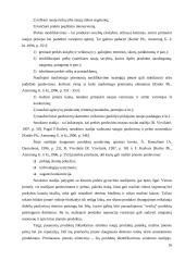 Prekių samprata 16 puslapis