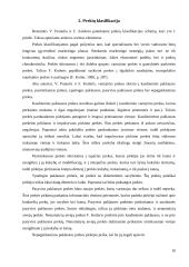 Prekių samprata 10 puslapis