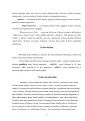 Prekės kainos analizė 3 puslapis