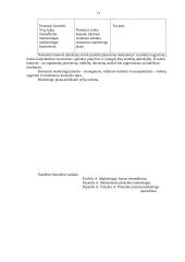 Prekybos marketingas 17 puslapis