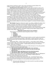 Prekybos marketingas 5 puslapis