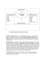 Prekiniai ženklai 5 puslapis