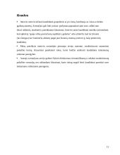 Priėmimo į darbą pokalbio scenarijus 13 puslapis