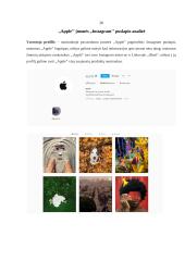 Įmonės „Apple“ išorinio komunikacinio turinio analizė 19 puslapis