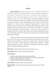 Įmonės „Apple“ išorinio komunikacinio turinio analizė 2 puslapis