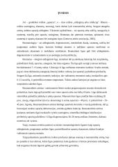 Reumatas ir reumatoidinis artritas 2 puslapis