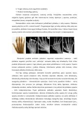 Reumatas ir reumatoidinis artritas 7 puslapis