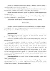 Produkto analizė: šokoladas "Karūna" 4 puslapis