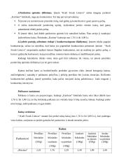 Produkto analizė: šokoladas "Karūna" 5 puslapis