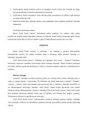 Produkto analizė: šokoladas "Karūna" 9 puslapis