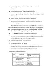 Profesinė rizika darbo vietoje: darbas su kompiuteriu 2 puslapis