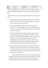 Profesinė rizika darbo vietoje: darbas su kompiuteriu 4 puslapis