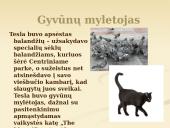 Nikola Tesla (skaidrės) 11 puslapis