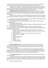 Italijos Respublikos Konstitucija 5 puslapis