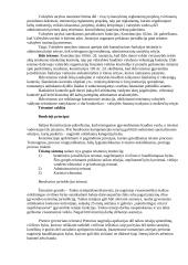 Italijos Respublikos Konstitucija 8 puslapis