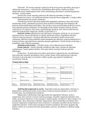 Italijos Respublikos Konstitucija 9 puslapis