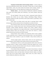 Profesionalaus kelionių vadovo darbo stebėjimo ataskaita 2 puslapis