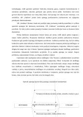 AB „Audimas“ prekių realizavimo politika 12 puslapis