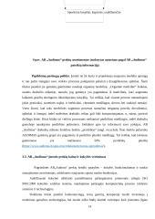 AB „Audimas“ prekių realizavimo politika 13 puslapis