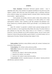 AB „Audimas“ prekių realizavimo politika 2 puslapis