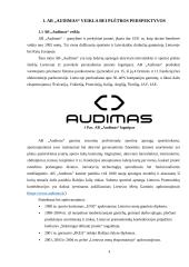 AB „Audimas“ prekių realizavimo politika 3 puslapis