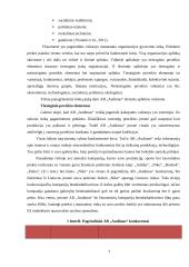 AB „Audimas“ prekių realizavimo politika 6 puslapis