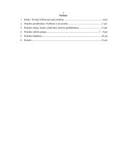 Projektas "Vaikai – mūsų ateitis" 11 puslapis