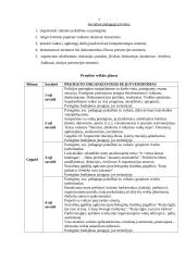 Projektas "Vaikai – mūsų ateitis" 6 puslapis