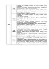 Projektas "Vaikai – mūsų ateitis" 8 puslapis