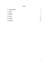 Projektų valdymo esmė 2 puslapis