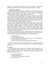 Projektų valdymo esmė 12 puslapis