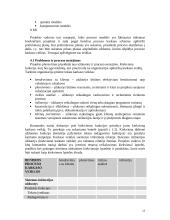 Projektų valdymo esmė 13 puslapis