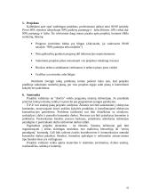 Projektų valdymo esmė 16 puslapis