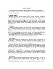 Projektų valdymo esmė 3 puslapis