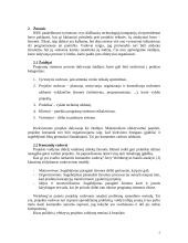 Projektų valdymo esmė 5 puslapis