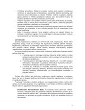 Projektų valdymo esmė 6 puslapis