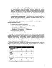 Projektų valdymo esmė 7 puslapis