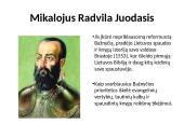 Reformacija Lietuvoje (skaidrės) 12 puslapis