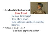 Reformacija Lietuvoje (skaidrės) 6 puslapis