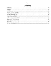 Racionalaus sprendimo priėmimo procesas 2 puslapis