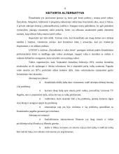 Racionalaus sprendimo priėmimo procesas 8 puslapis