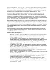 Veidoskaitos konspektas 2 puslapis