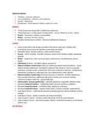 Veidoskaitos konspektas 12 puslapis