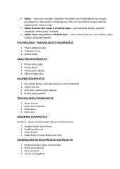 Veidoskaitos konspektas 13 puslapis