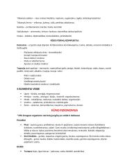 Veidoskaitos konspektas 16 puslapis