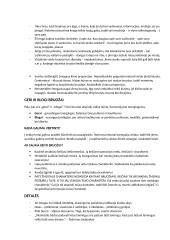 Veidoskaitos konspektas 3 puslapis