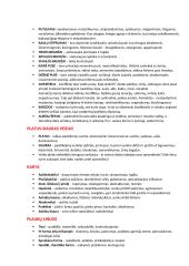 Veidoskaitos konspektas 7 puslapis