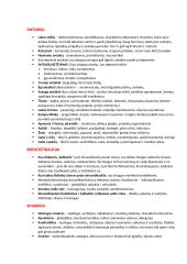 Veidoskaitos konspektas 8 puslapis