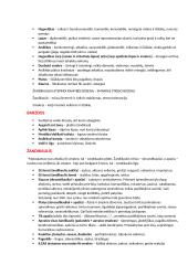 Veidoskaitos konspektas 9 puslapis