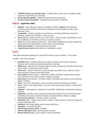 Veidoskaitos konspektas 10 puslapis